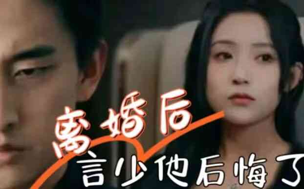 离婚后,言少他后悔了