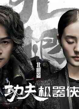 功夫机器侠之北腿
