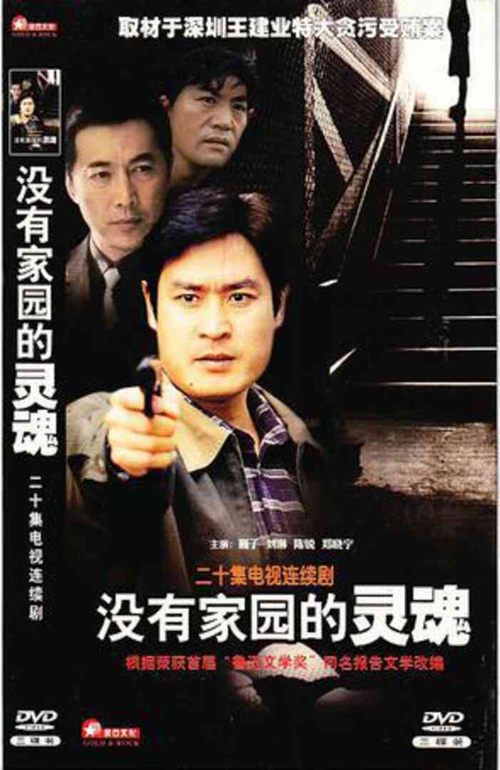 没有家园的灵魂