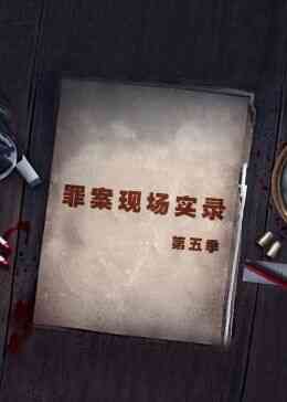 罪案现场实录 第五季