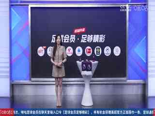 英超联赛 富勒姆VS利物浦 20240421