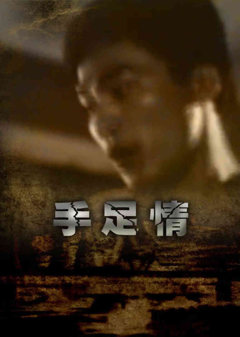 手足情1988