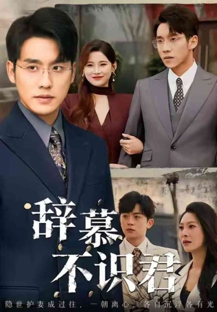 辞慕不识君(七年情深终成侮)
