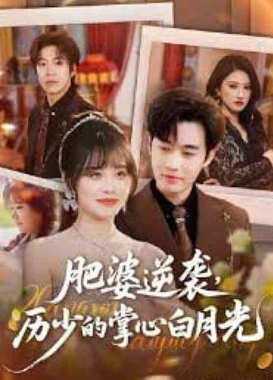 肥婆逆袭,厉少的掌心白月光