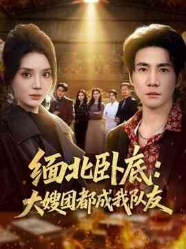 缅北卧底:大嫂团都成我队友