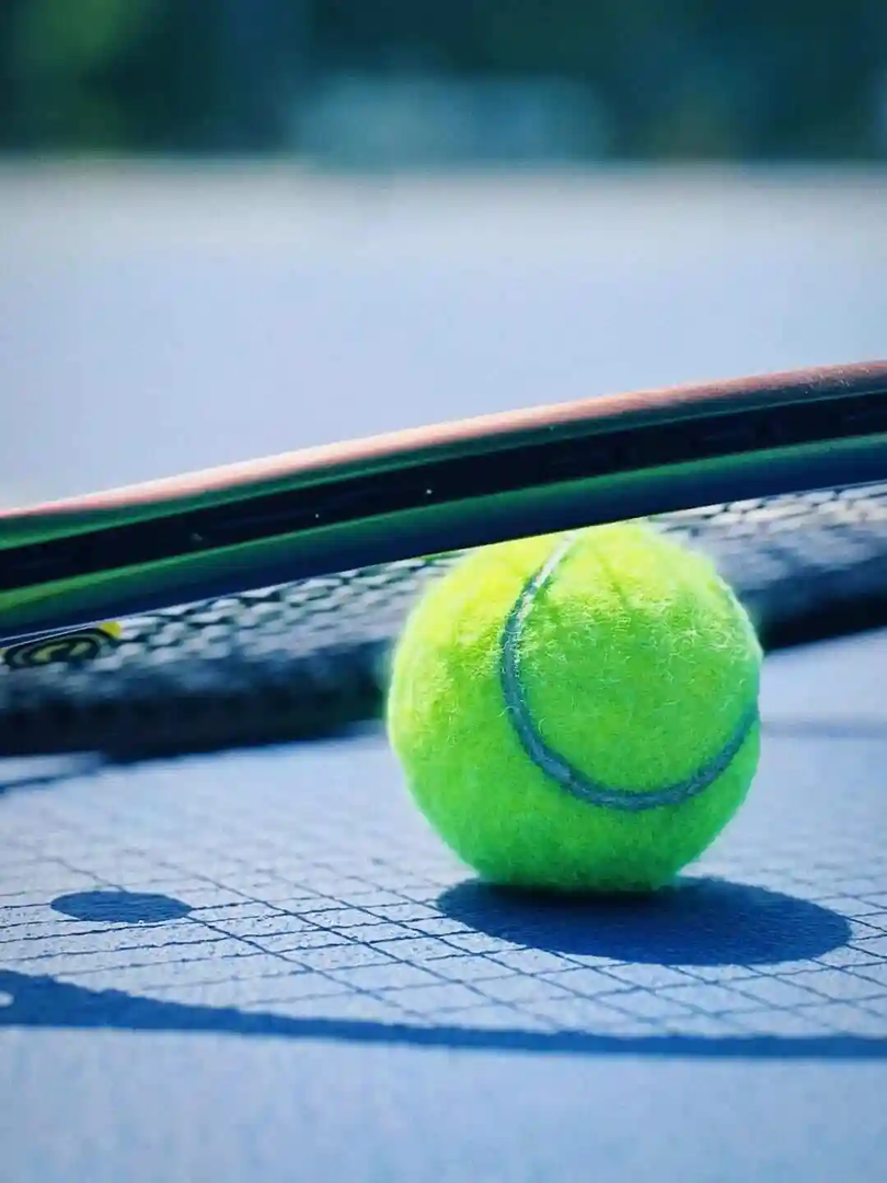 WTA250雅典站女单第二轮:米契奇VS郑钦文